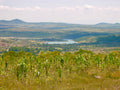 Rancho Mi Dicha