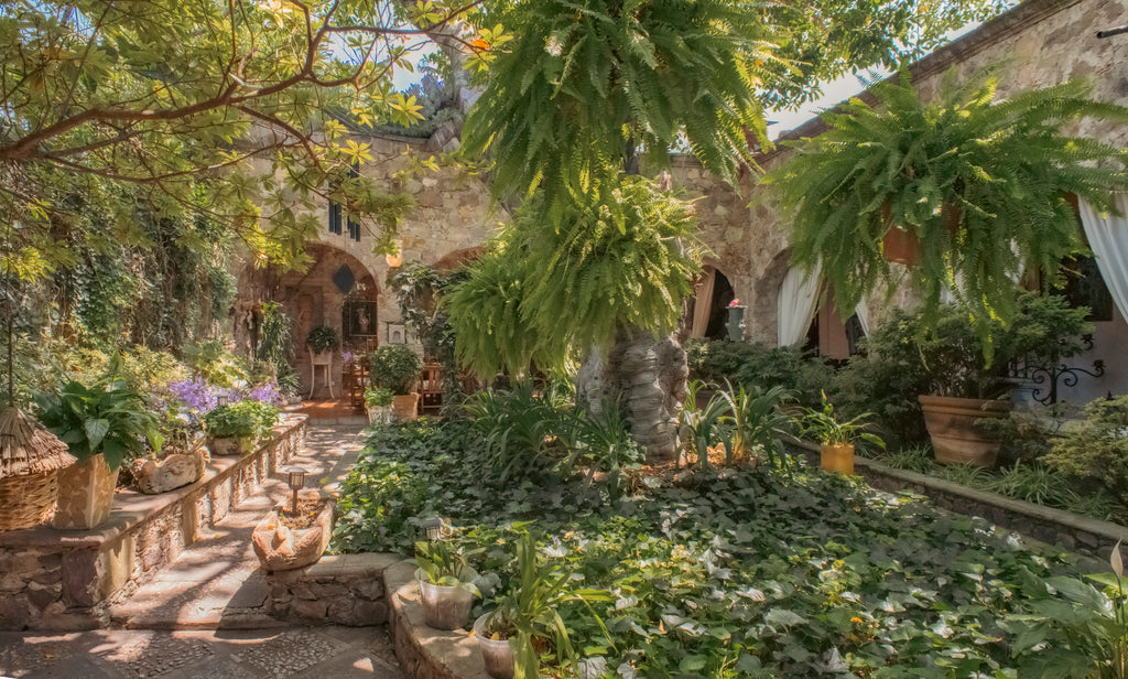 Hacienda Guadalupe