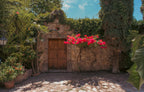 Hacienda Guadalupe
