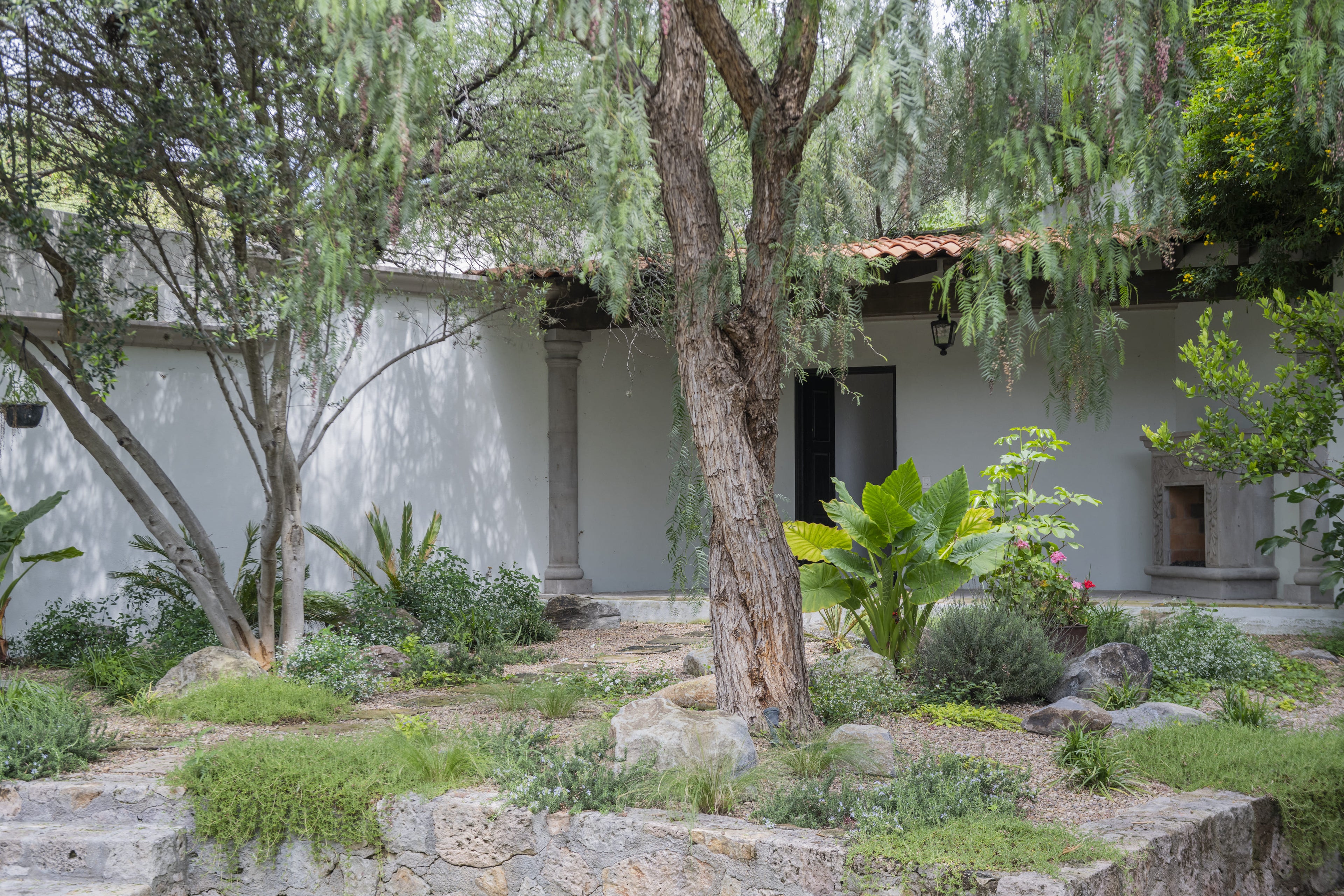 Casa Los Olivos | Candelaria