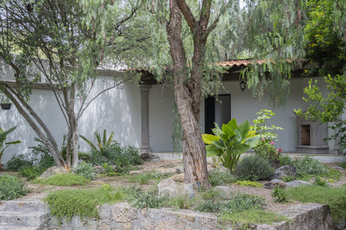 Casa Los Olivos | Candelaria