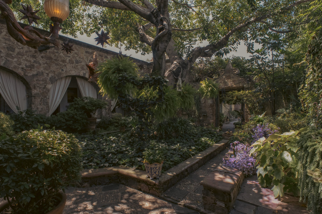 GUADALUPE RANCH