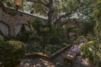 GUADALUPE RANCH