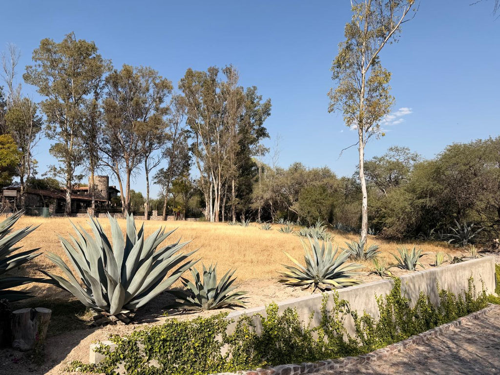 Rancho la Loma