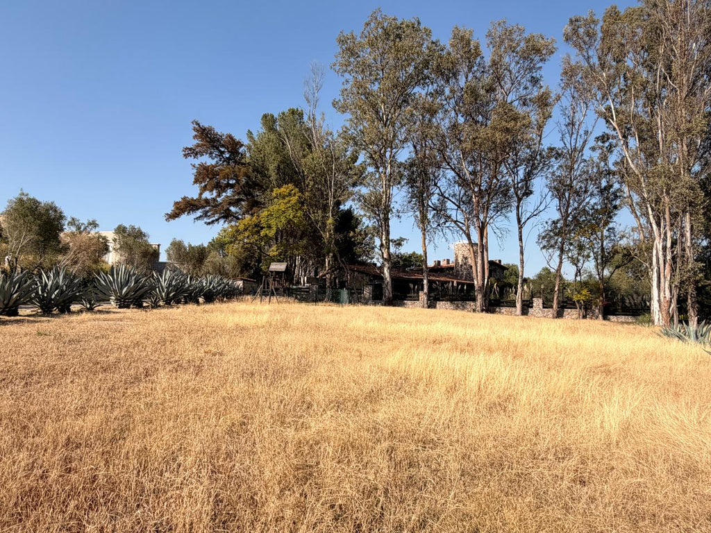 Rancho la Loma