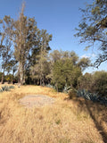 Rancho la Loma