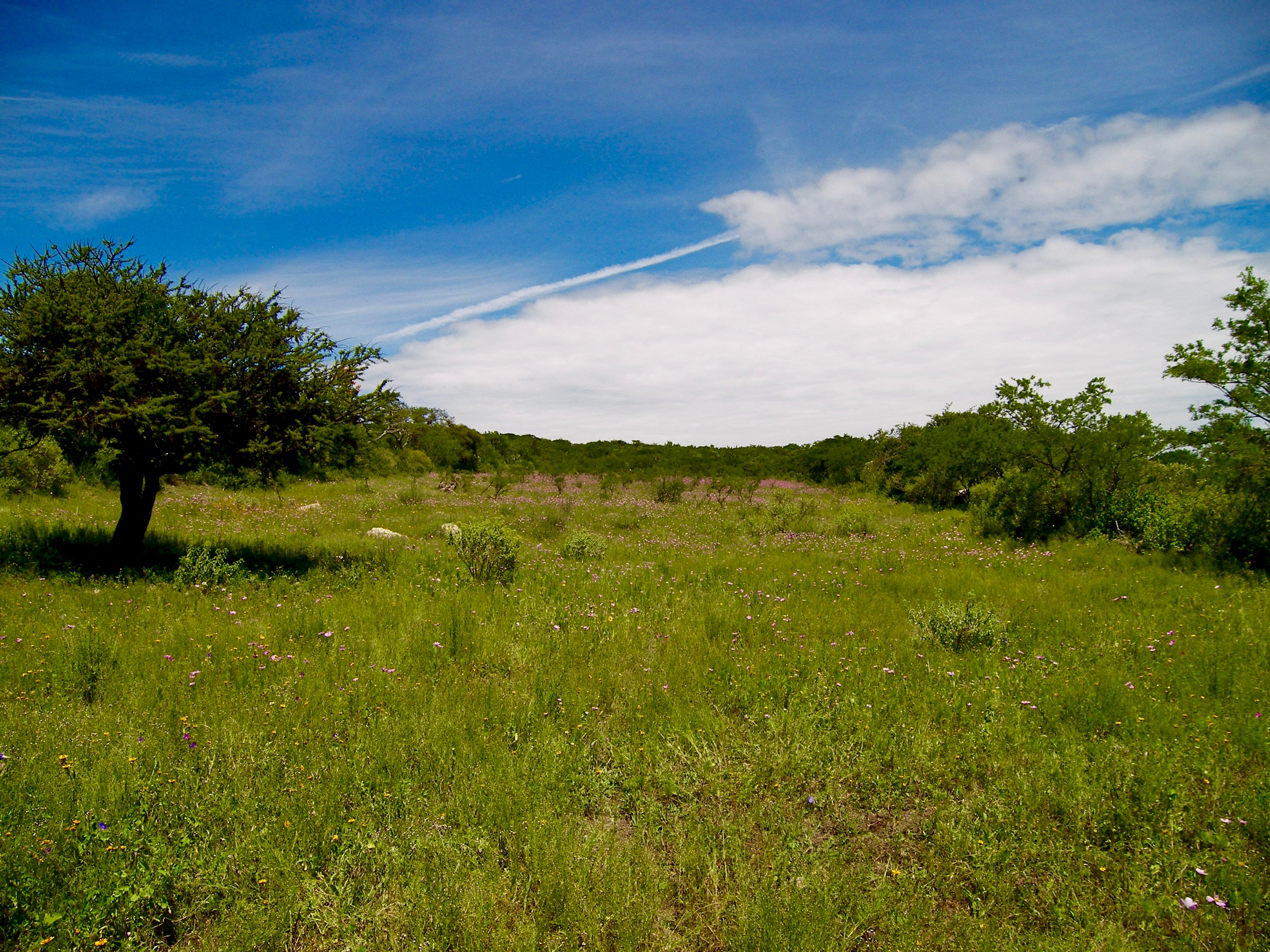 Rancho Mi Dicha