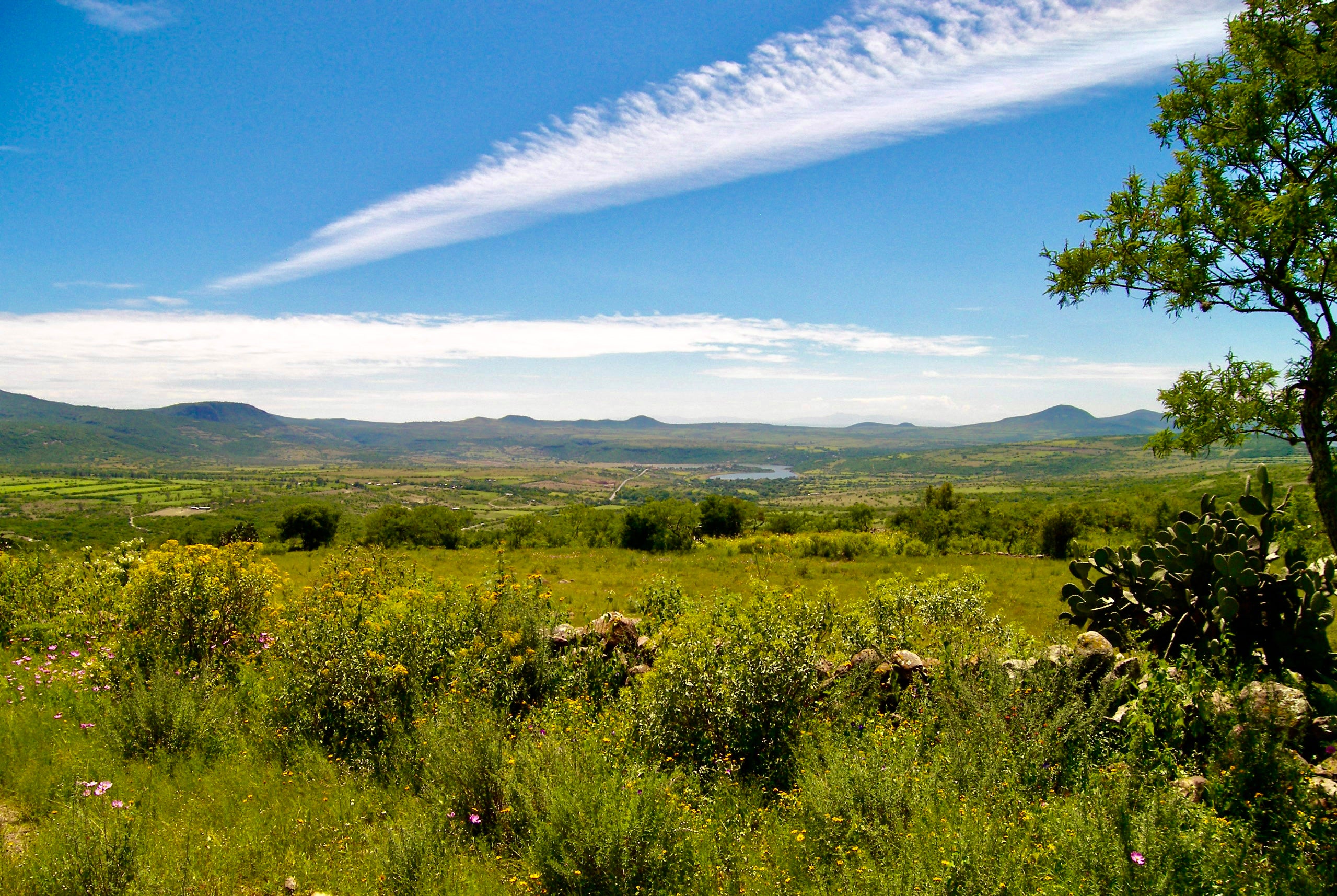 Rancho Mi Dicha