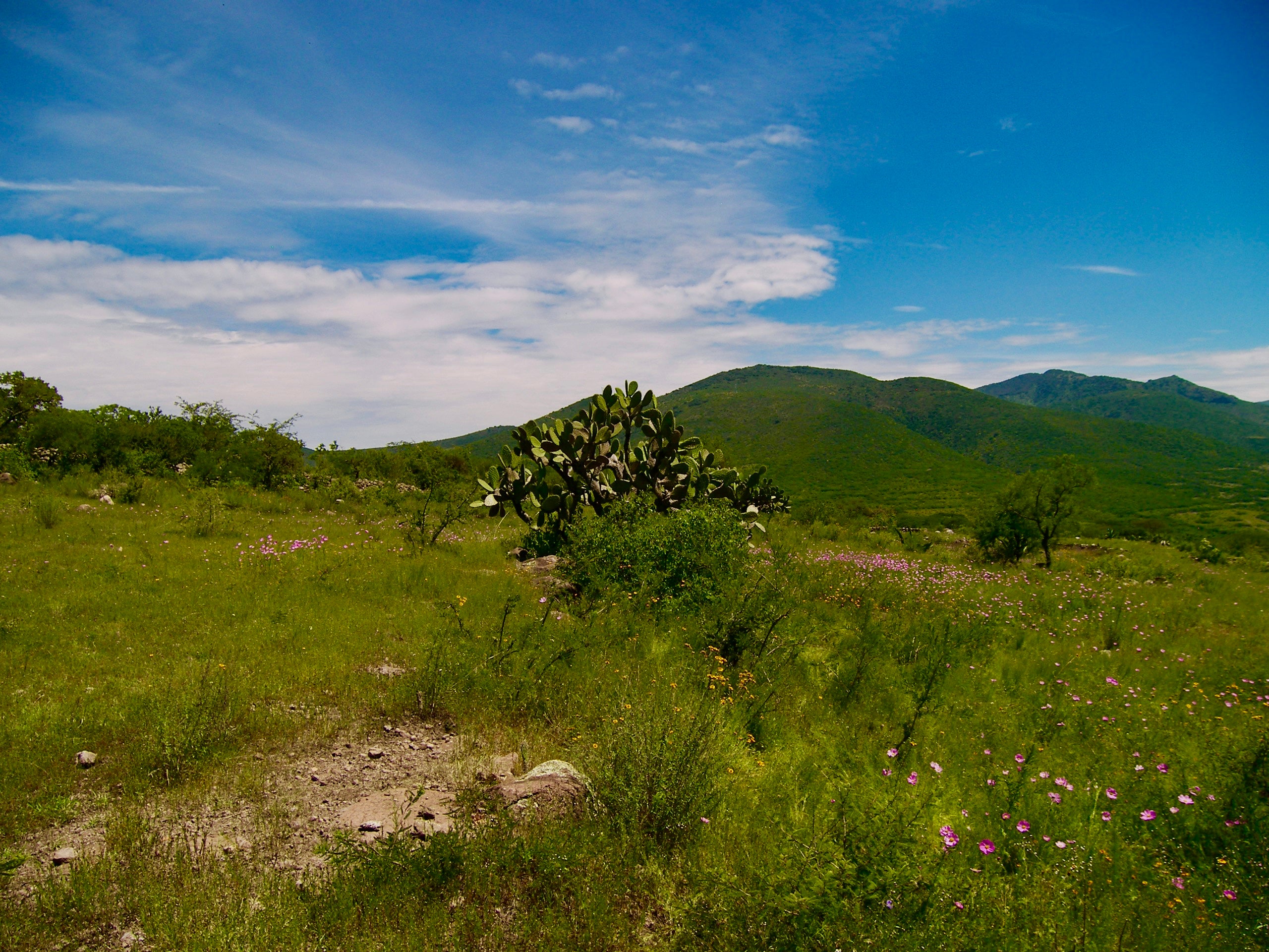 Rancho Mi Dicha